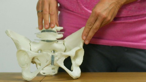 Pelvis Floor-Beckenboden im Fokus. Kompetenz,die hält!