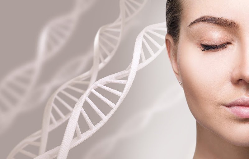 Heidrun Erlenkötter PRAXIS FÜR NATURHEILVERFAHREN Diagnostik & Therapie Reizdarm, Leaky Gut, Bioidentische Hormone, Burnout…